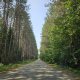 Rally Adventure (Full Day) - photo thumbnail 2